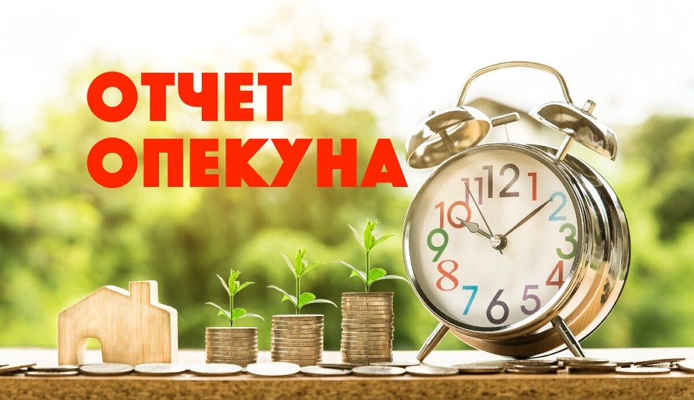 Отчет о расходовании денежных средств, получаемых на содержание подопечного